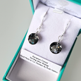 Black diamond crystal, domed disc hook earrings